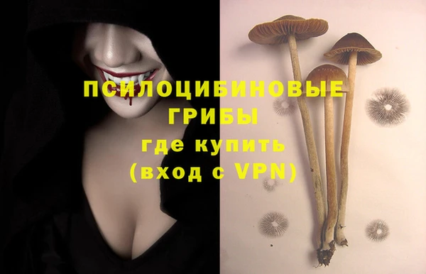 apvp Богородицк