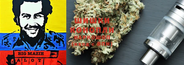 apvp Богородицк