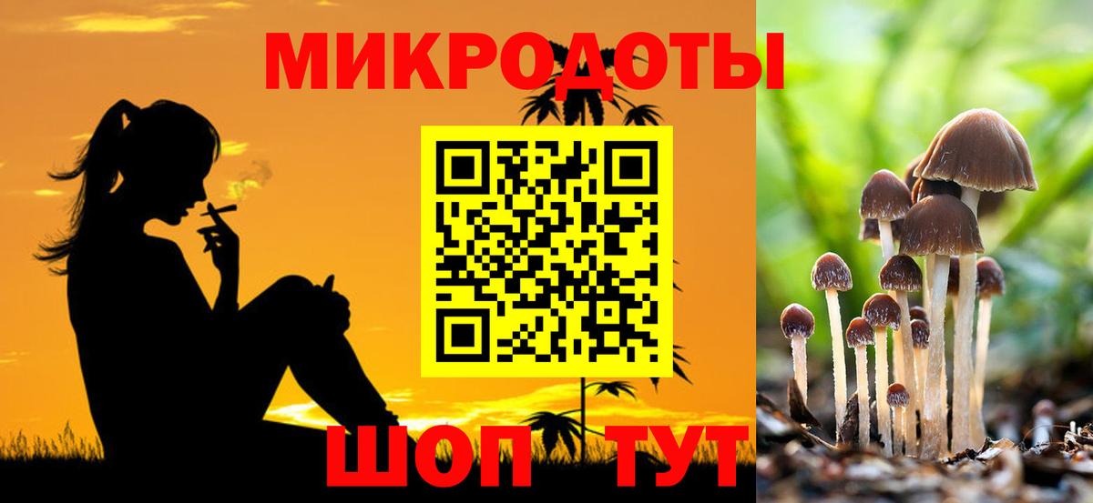 Галлюциногенные грибы Magic Shrooms Вязники